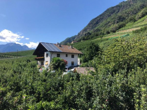 Pixnerhof - Urlaub am Biohof Castelbello-Ciardes